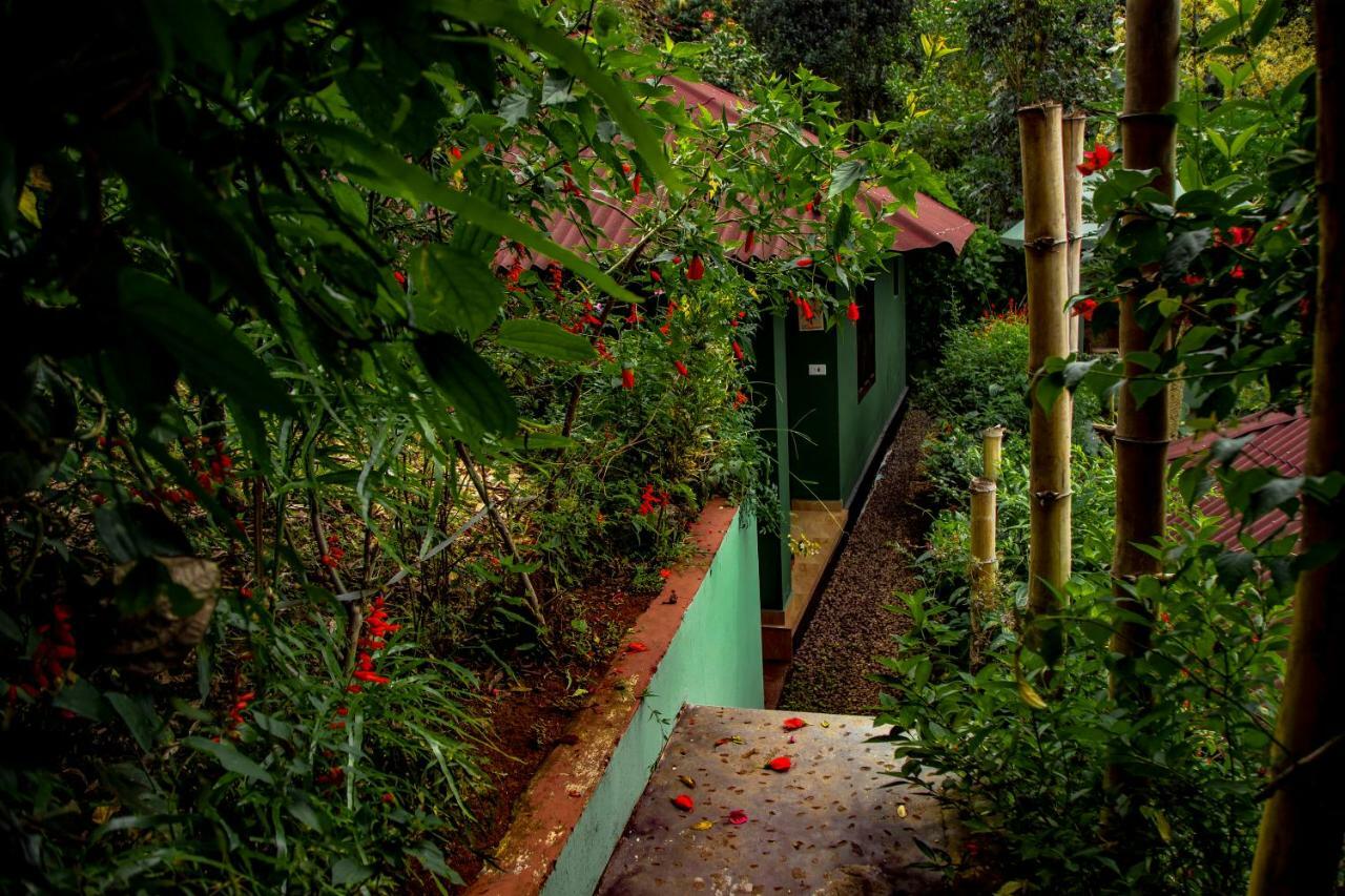 Hotel Ecotones Munnar By Eden Environs Esterno foto