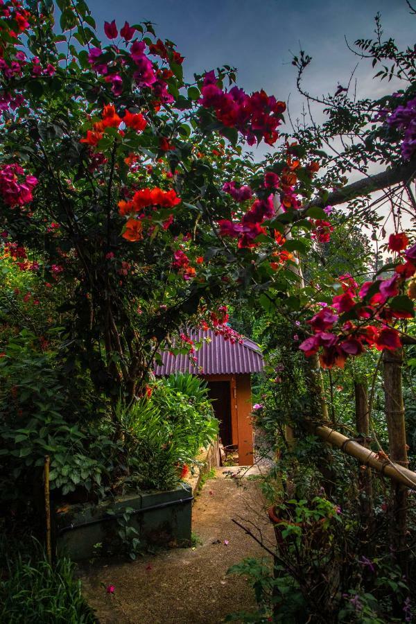 Hotel Ecotones Munnar By Eden Environs Esterno foto