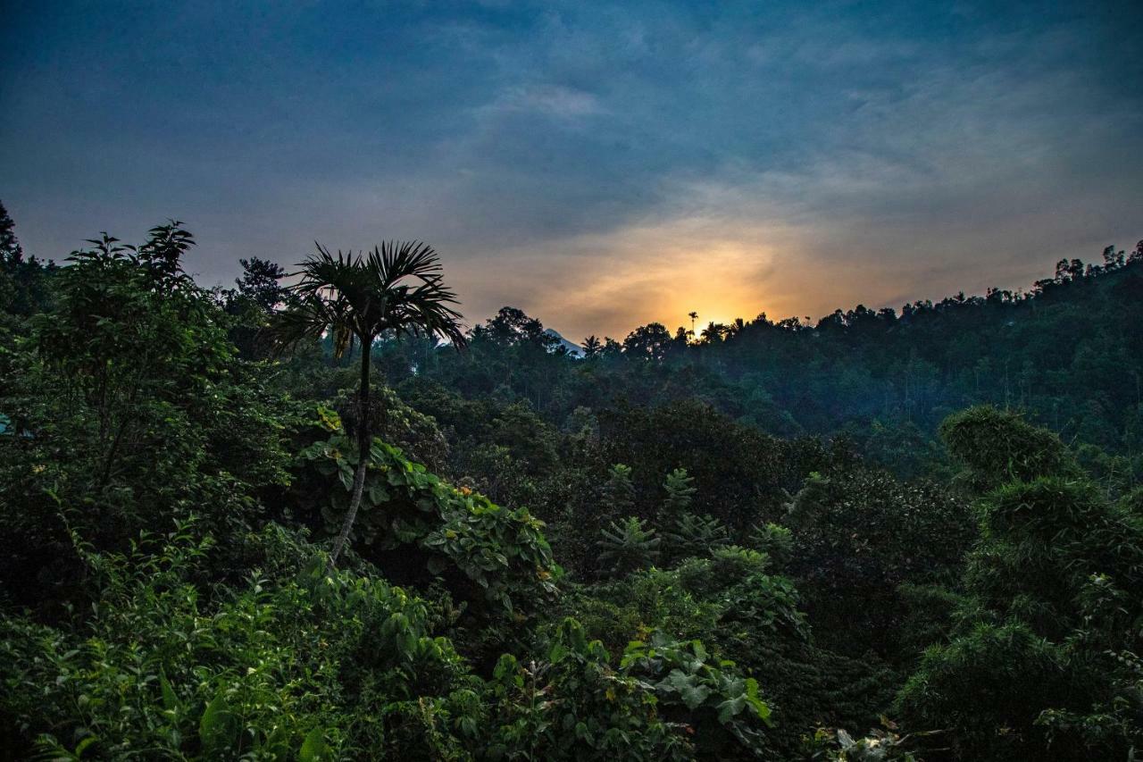 Hotel Ecotones Munnar By Eden Environs Esterno foto
